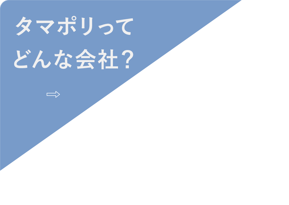 タマポリってどんな会社？